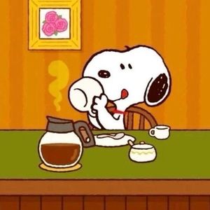 Meet your Posher, Alisa